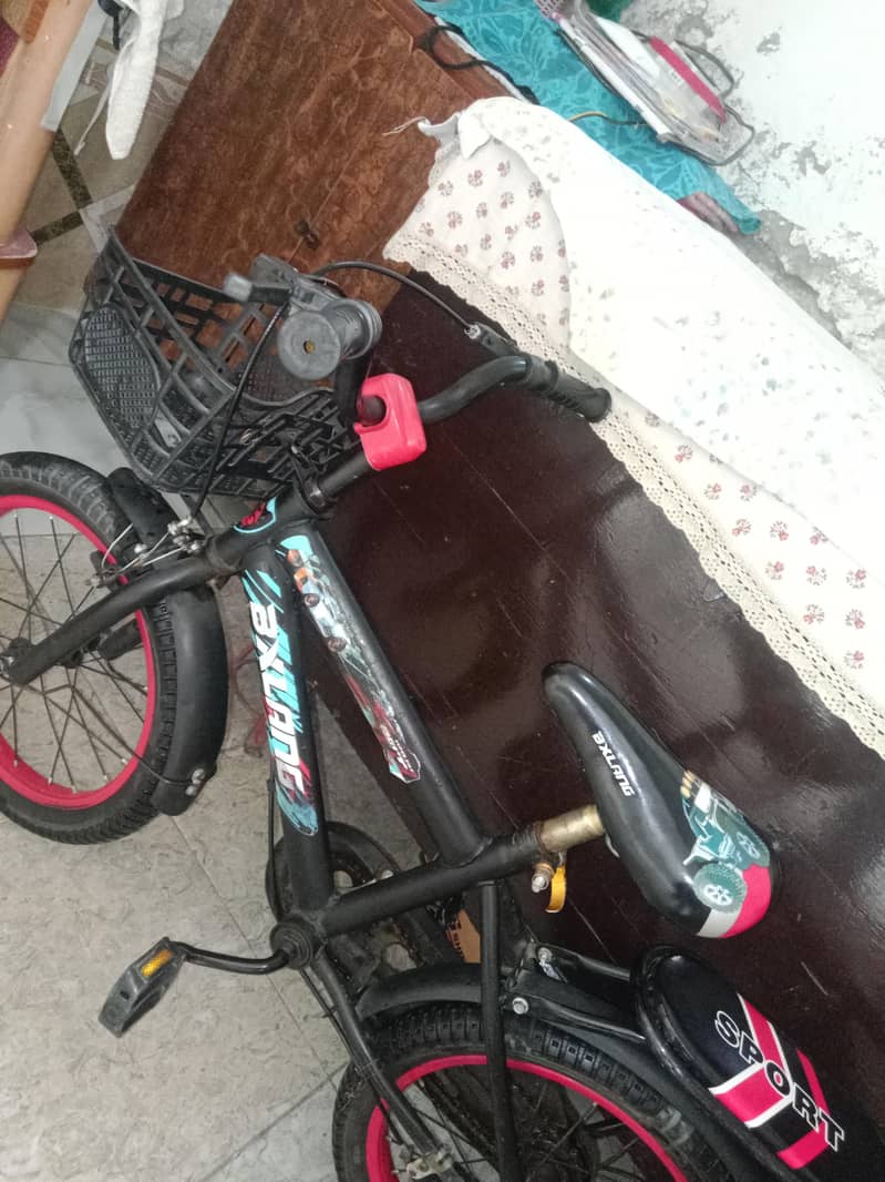 best cycle 1