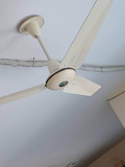 pak fan