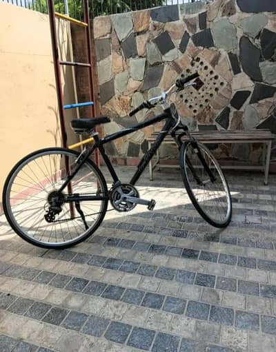 cycle giant