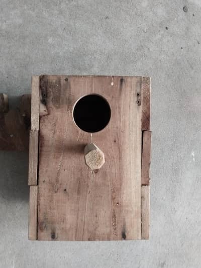 breeding boxes double door