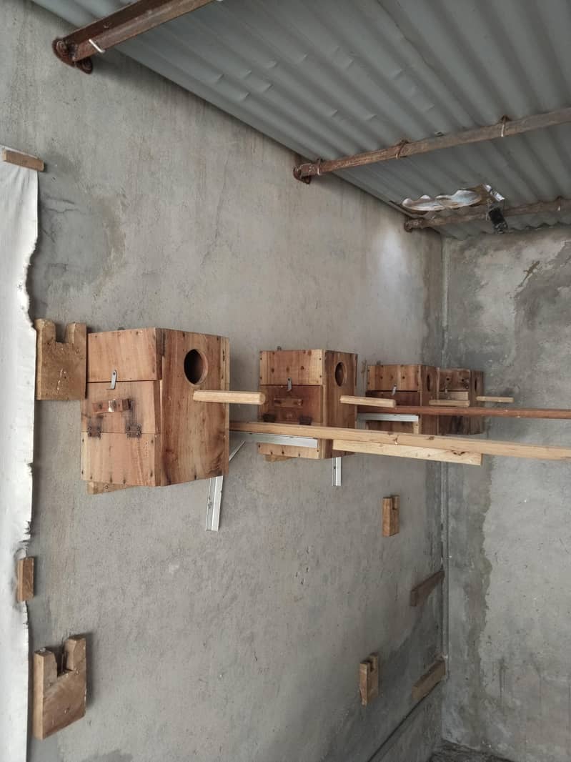 breeding boxes double door 3