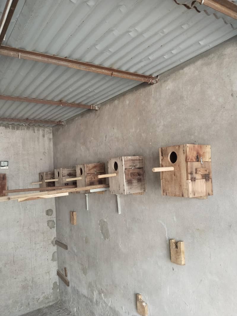 breeding boxes double door 4