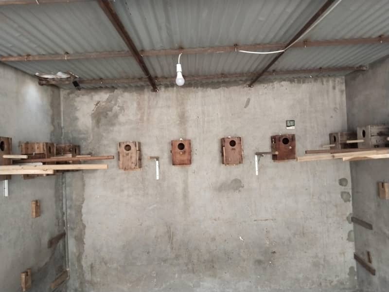 breeding boxes double door 5