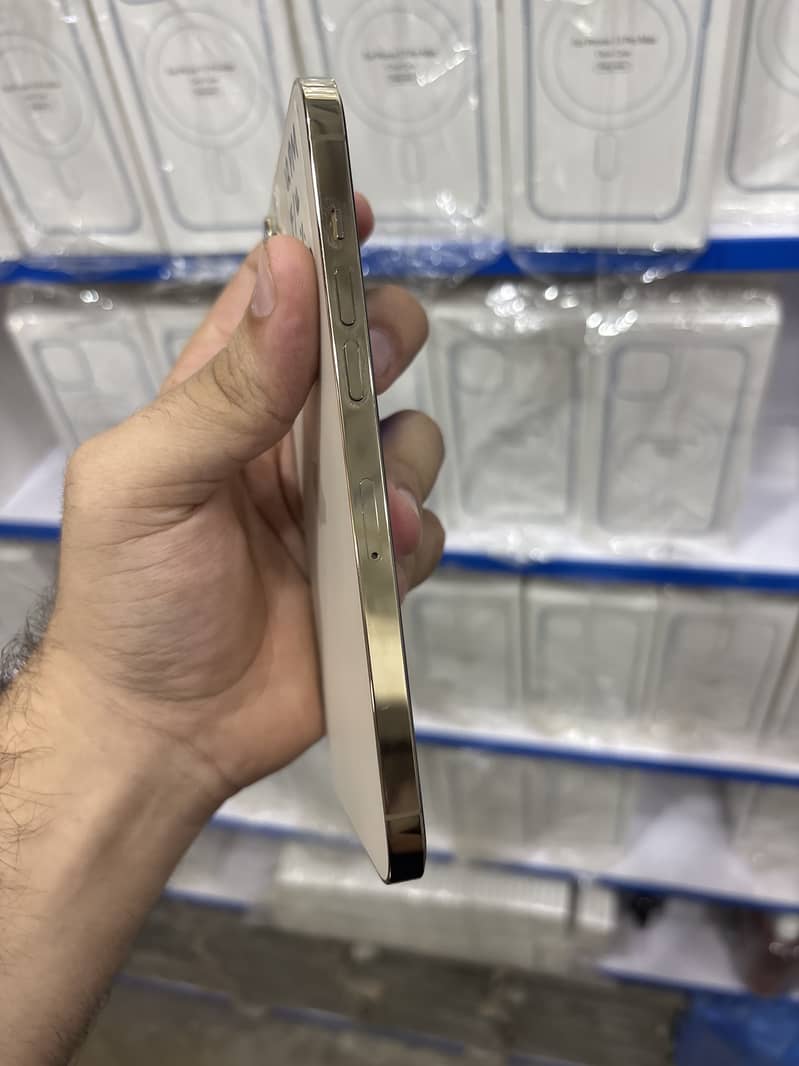Apple iPhone 12 Pro Max 2