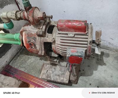 single lall pump all ok h