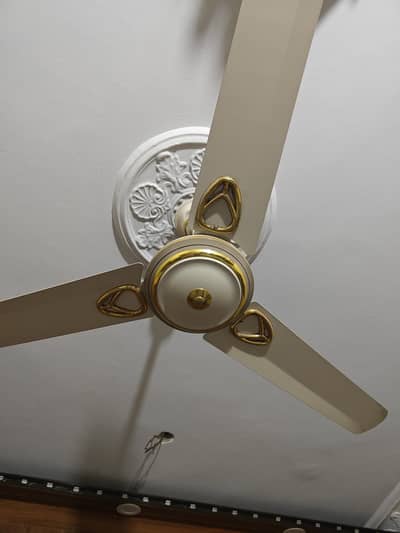 PAK FAN 220V