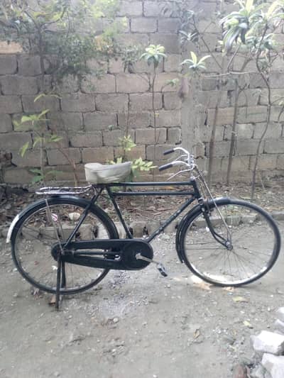 Sohrab Cycle For Sale