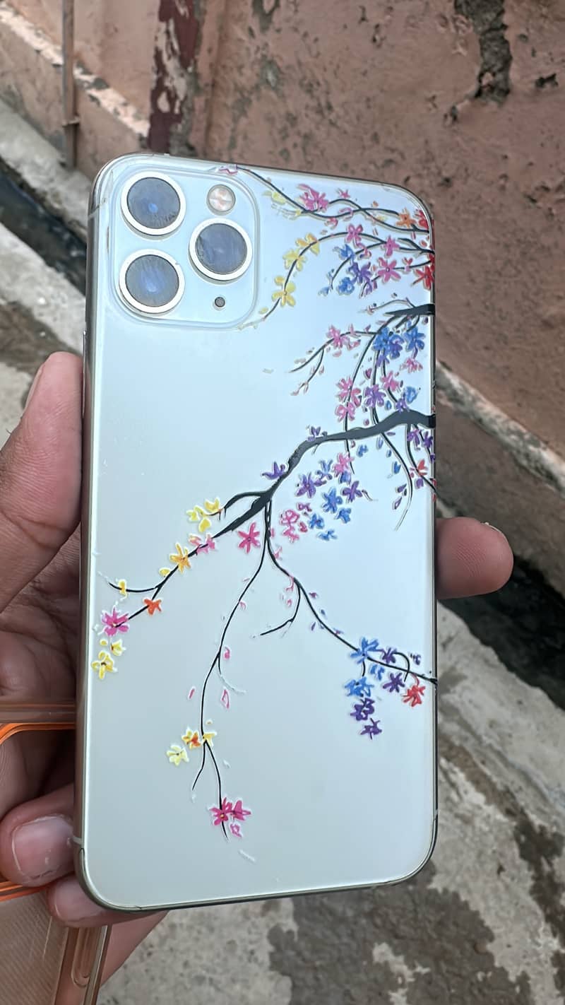 11 pro 0