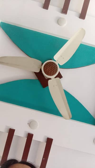 royal AC fan