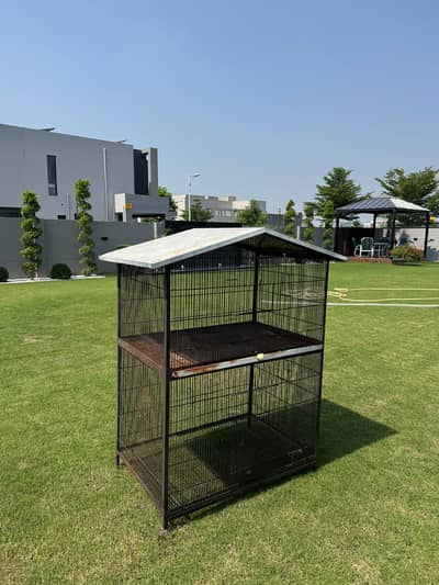 Love Bird Cage