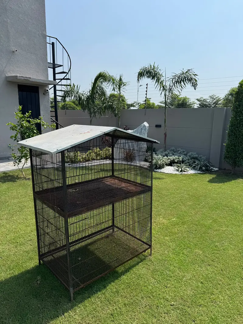 Love Bird Cage — photo 2