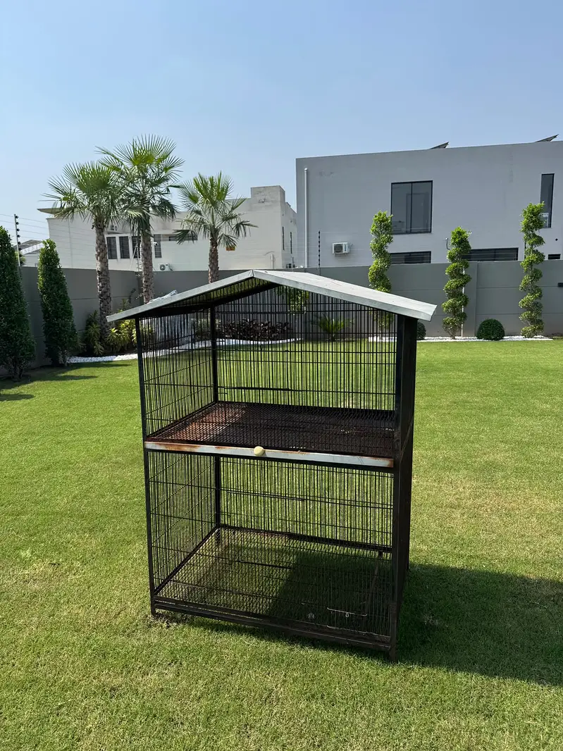 Love Bird Cage — photo 3