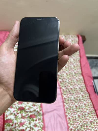 iPhone 12 Pm non pta