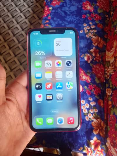 Apple iPhone 11