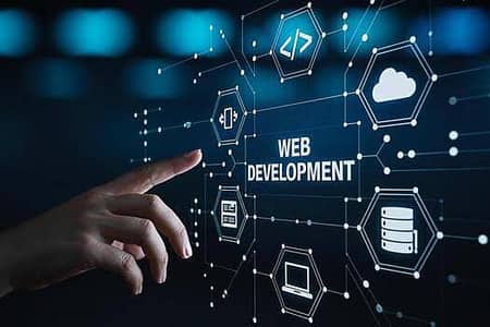 I am professional web developer website we make in cheap