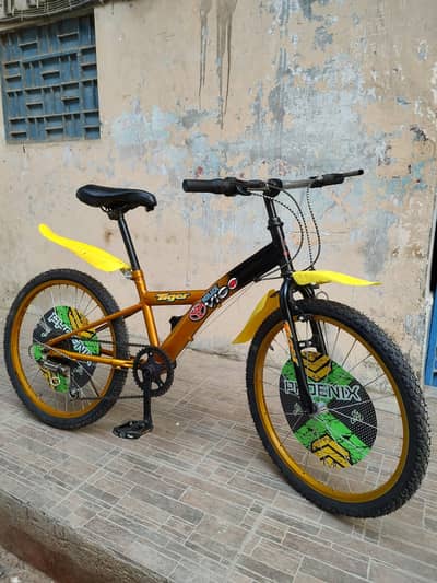 Shimano japanese bicycle size 22 with gear All okay 03188264599