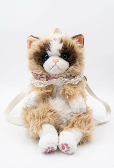 Cat Bag Backpack ( Free Home Delivery) China imported  PKR 2950/-