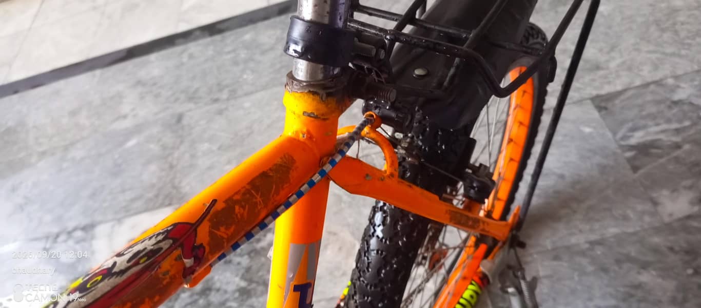 Phoenix cycle used 5