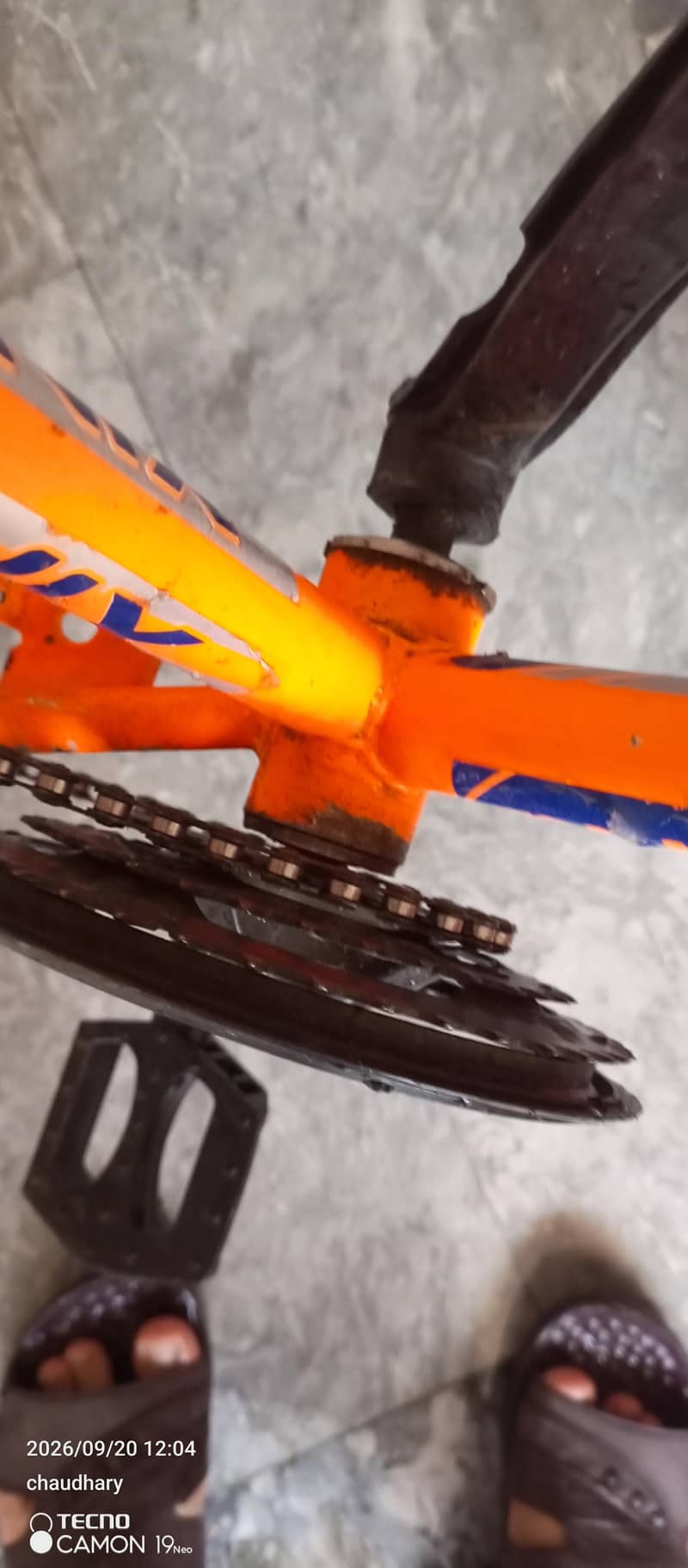 Phoenix cycle used 11