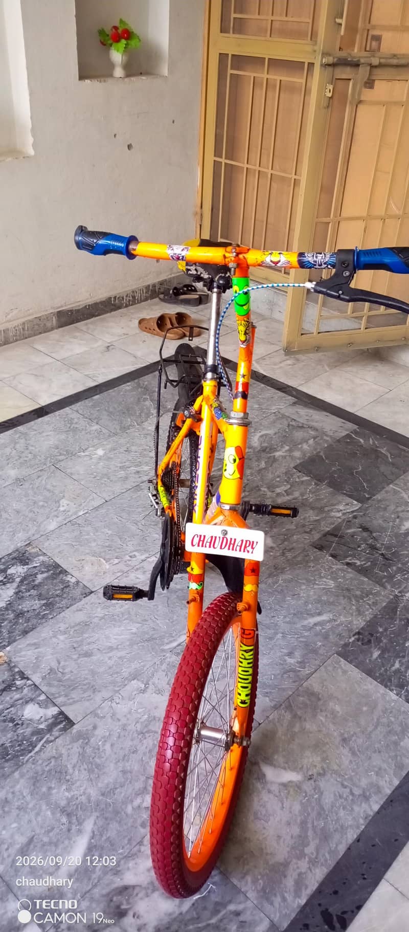 Phoenix cycle used 17