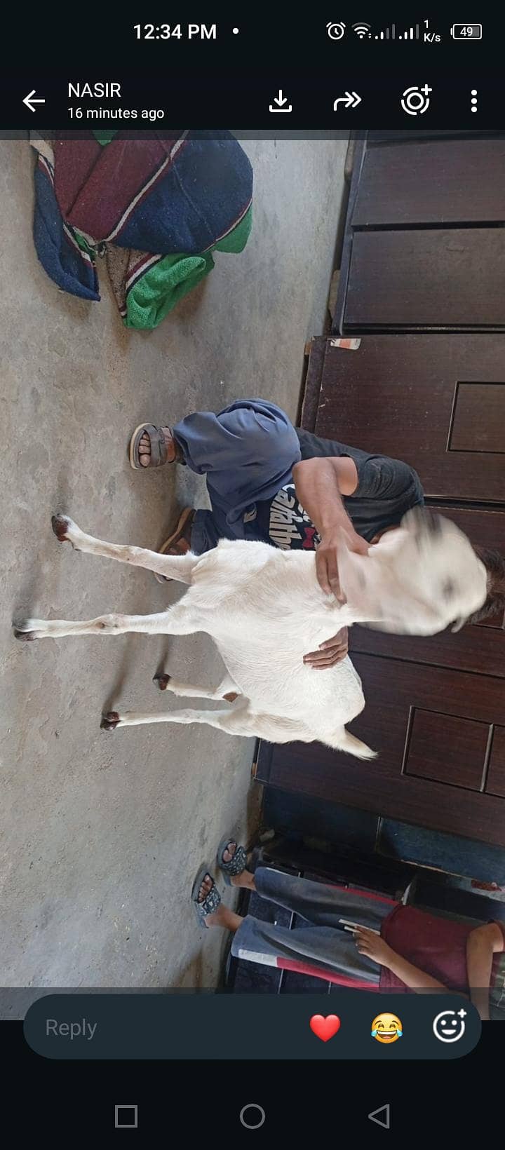 bakri 1