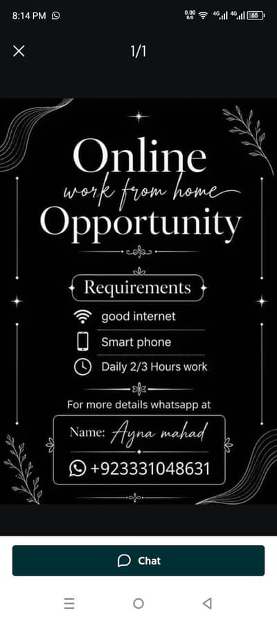 Online business opportunity