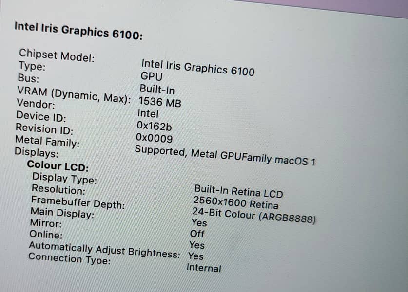 MacBookPro 2015 Retina, |16 GB|500 GB| 12