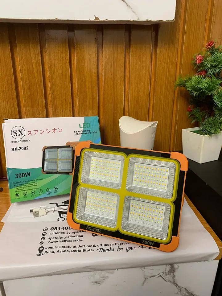 electric soler light 2