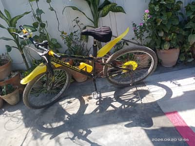 kids cycle