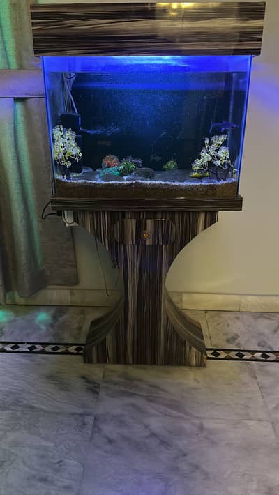 Wooden & Glass Fish Aquarium for Sale