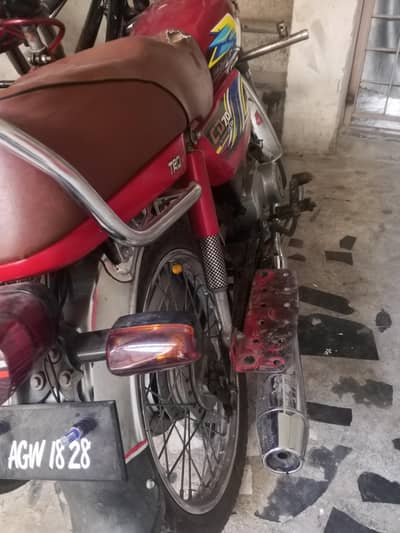 CD70 like new