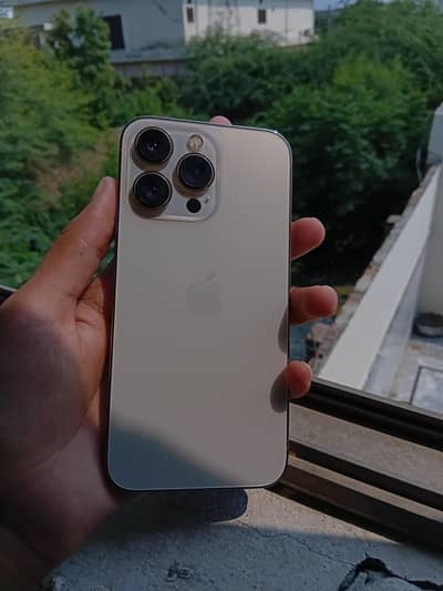 iPhone 13 Pro