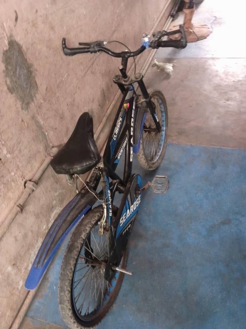 bicyles 3