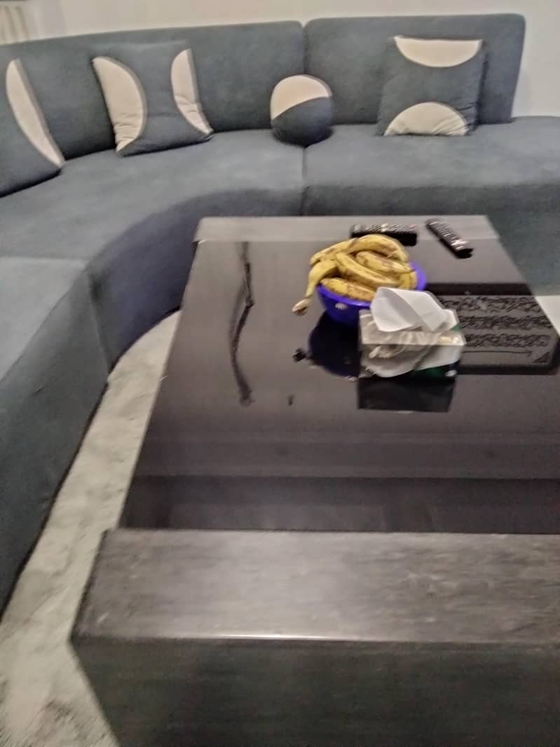 U shape sofa 1