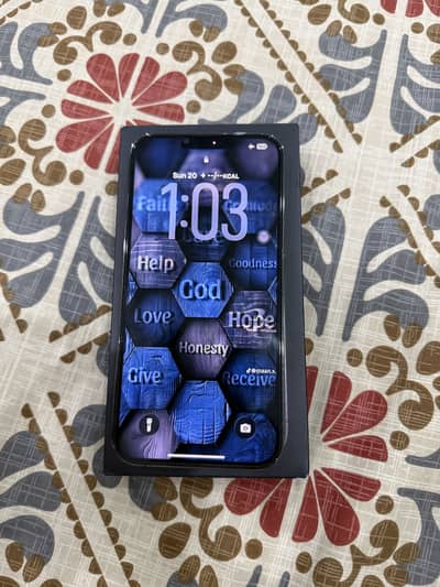 Apple iPhone 13 Pro Max