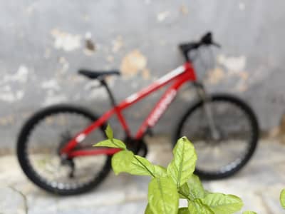 Mountain bycycle