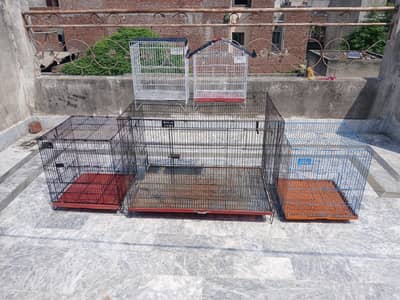 cages for sale