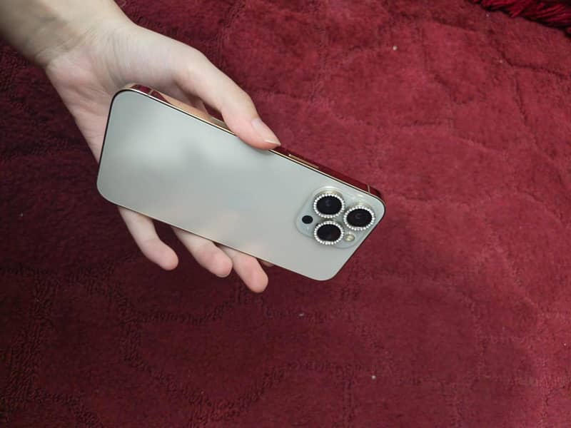 Apple iPhone 13 Pro 1