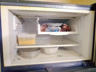 PEL Refrigerator 10/10