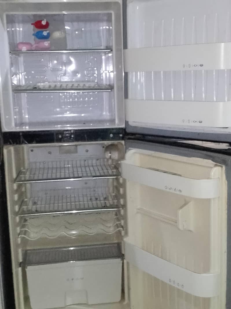 fridge 7