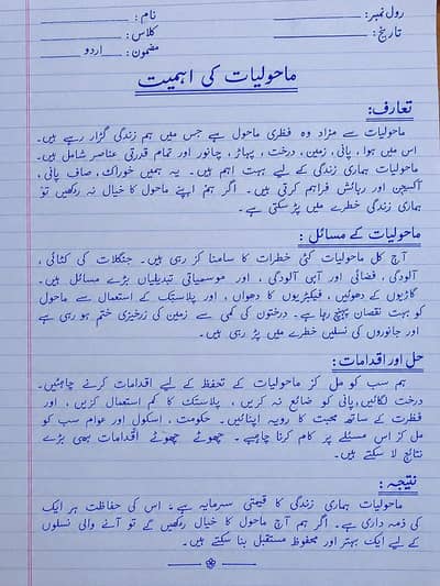 Assignment Writing & Urdu Teaching Services