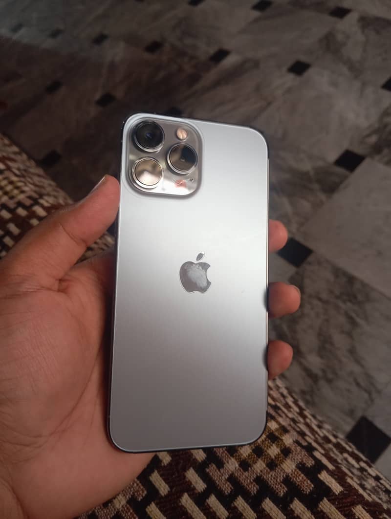 Apple iPhone 13 Pro Max 1