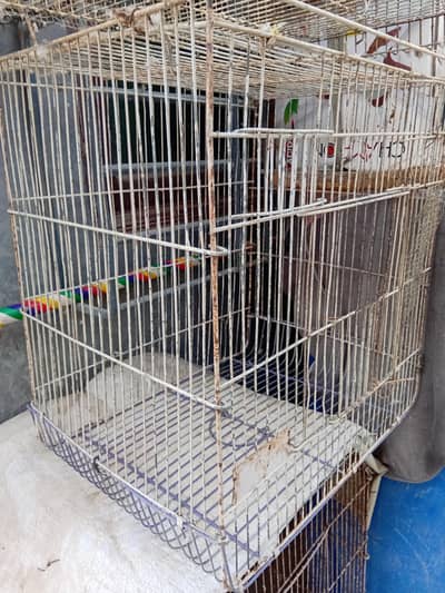 BIRDS CAGES FOR SALE