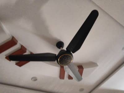 fans ac dc