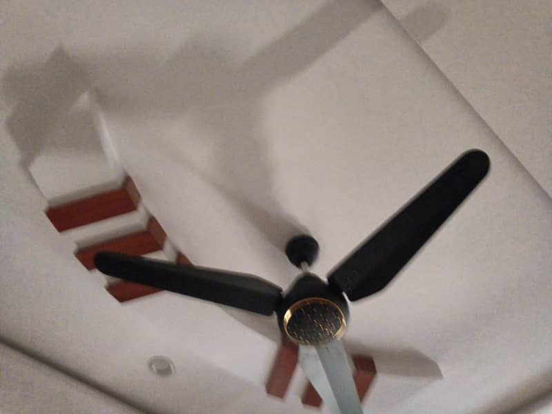 fans ac dc 1
