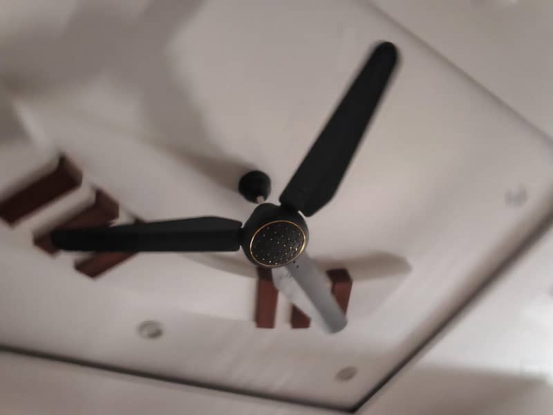 fans ac dc 2