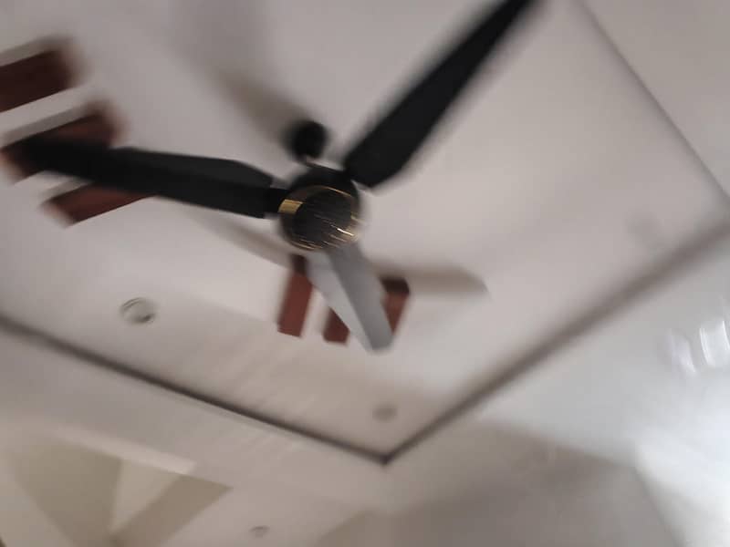 fans ac dc 3