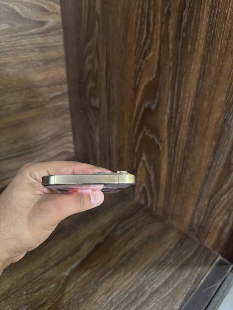 Apple iPhone 13 Pro Max 2