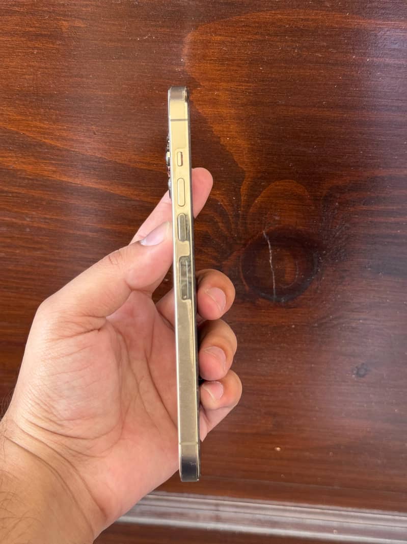 Apple iPhone 13 Pro Max 3