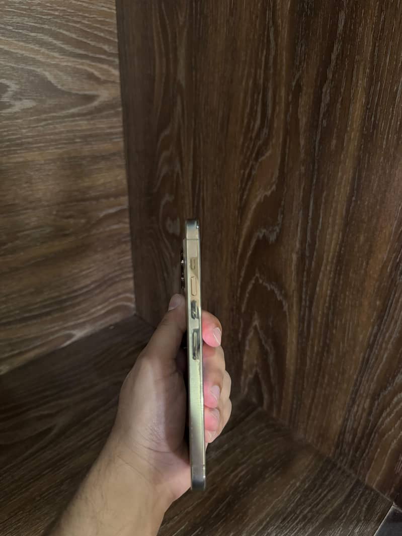 Apple iPhone 13 Pro Max 4